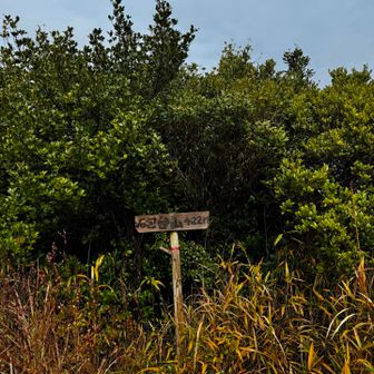 砲台山　山頂　とうちゃーく( ´∀｀)