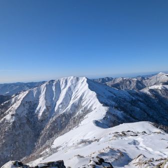 白ジローがはっきり見えたのは何年ぶりだろうか。今日もイケメソ🏔️
