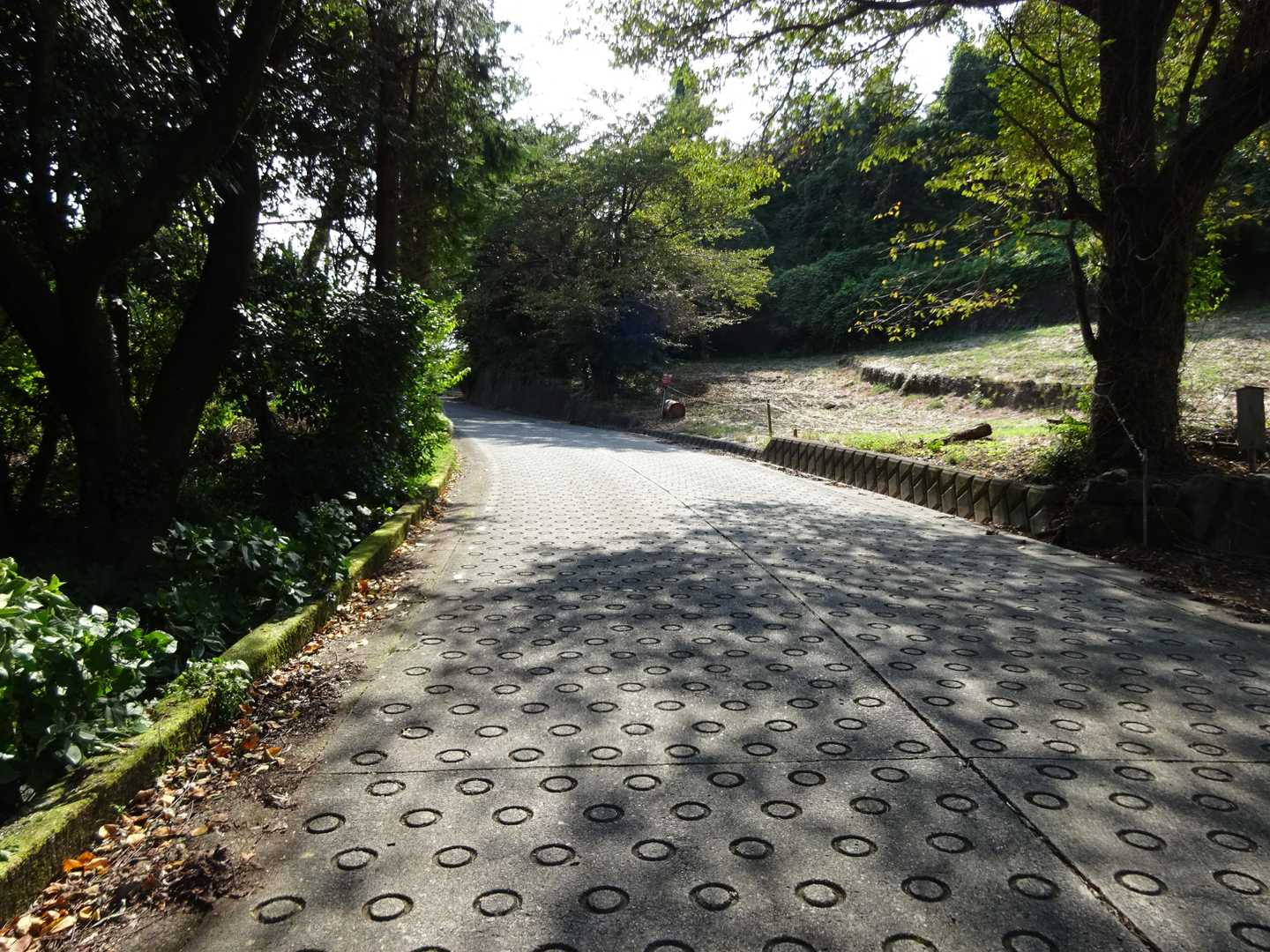登る