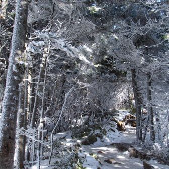 感謝の気持ちでいっぱいです🙏