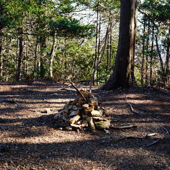 どんどん下ってすぐに雌日和田山の山頂に到着