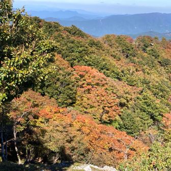 桧塚から奥峰に戻り小休止
こちらは休憩に最適地です。