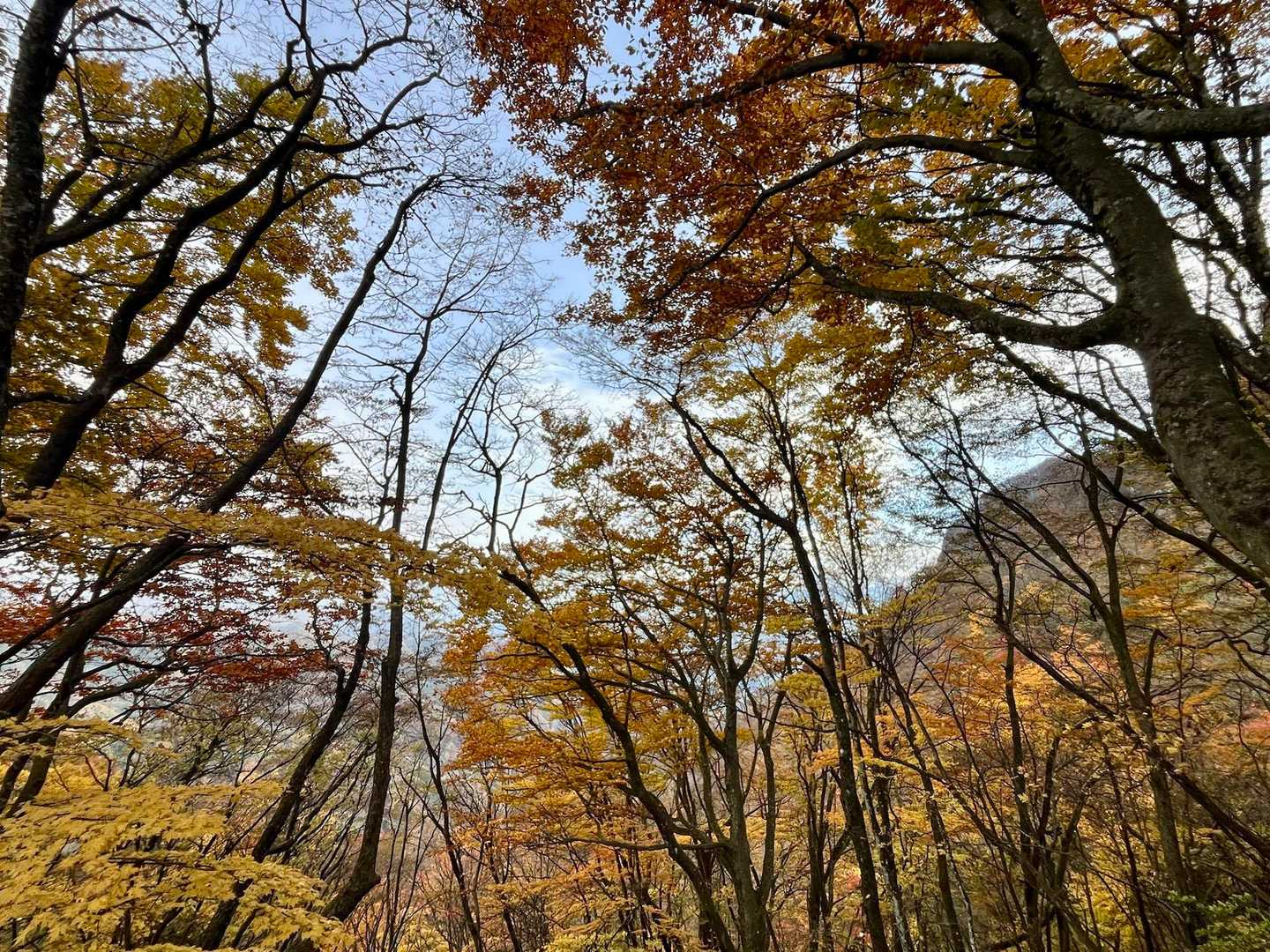 内山峠-荒船山 往復コースの写真