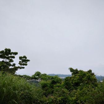 雲多めで、富士山は拝めません。
