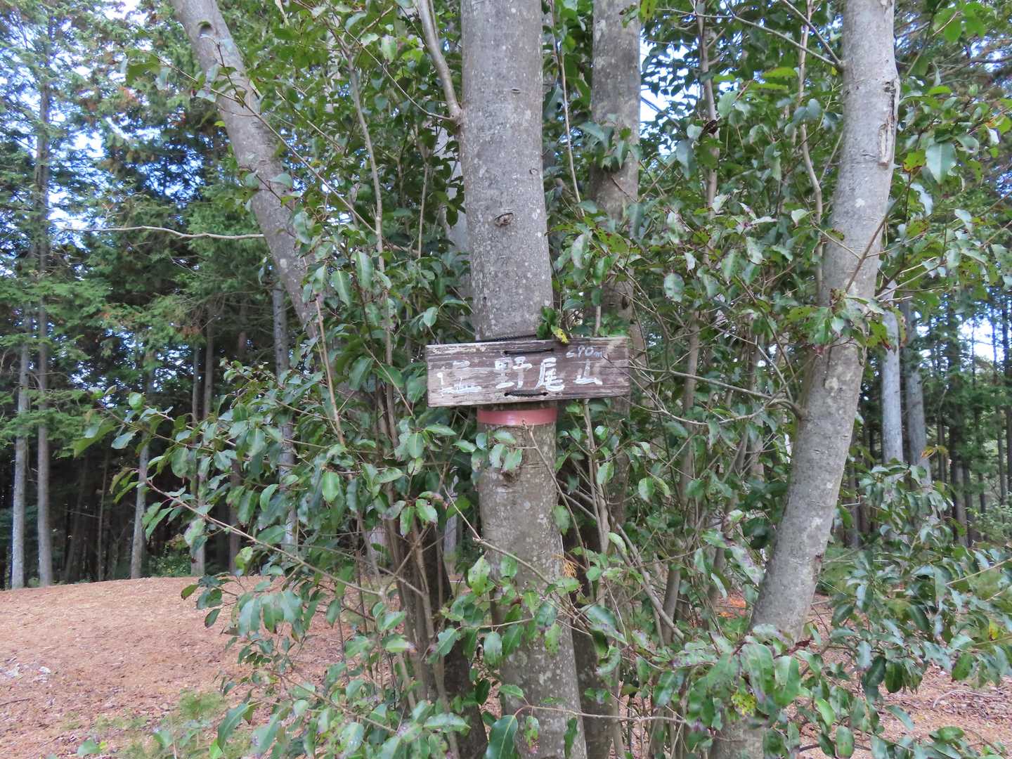 美しい里山公園栄町出入口-塩野尾山-尻無山 往復コースの写真