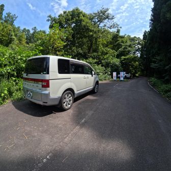 下山時は多くの車