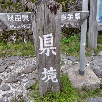 本日も無事下山😌
涼しくて良かったー
っていうか、汗をかいた後にはむしろ肌寒いかも…🤣