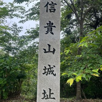 結構、坂キツかった〜😅