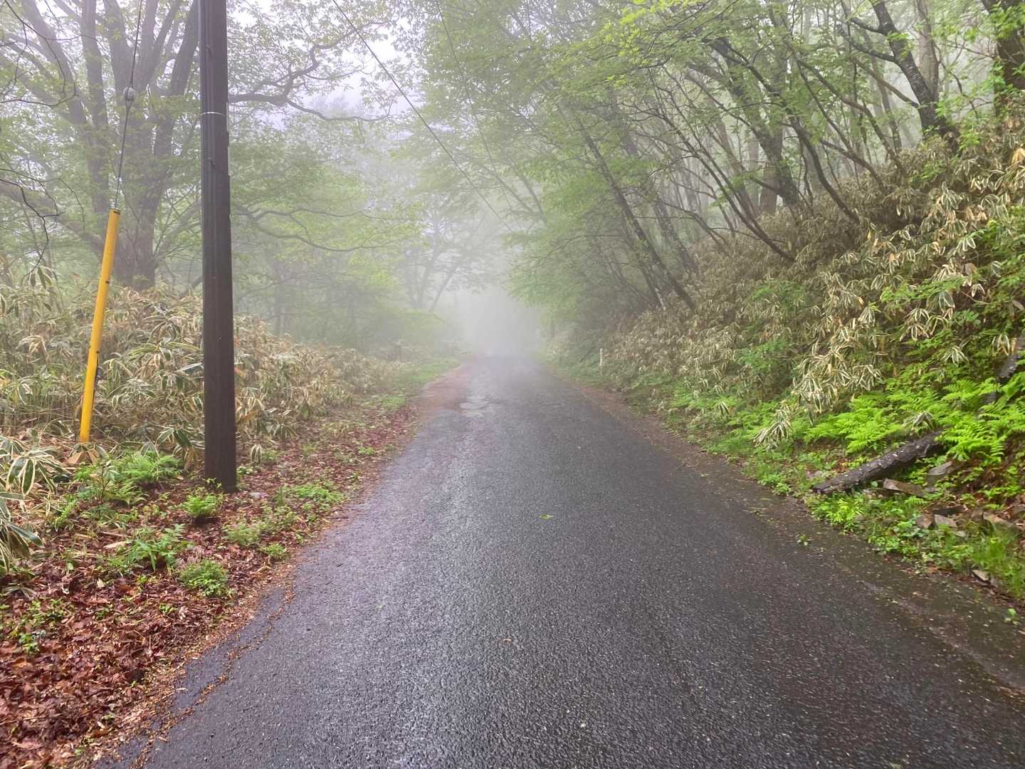 八溝山 周回コースの写真