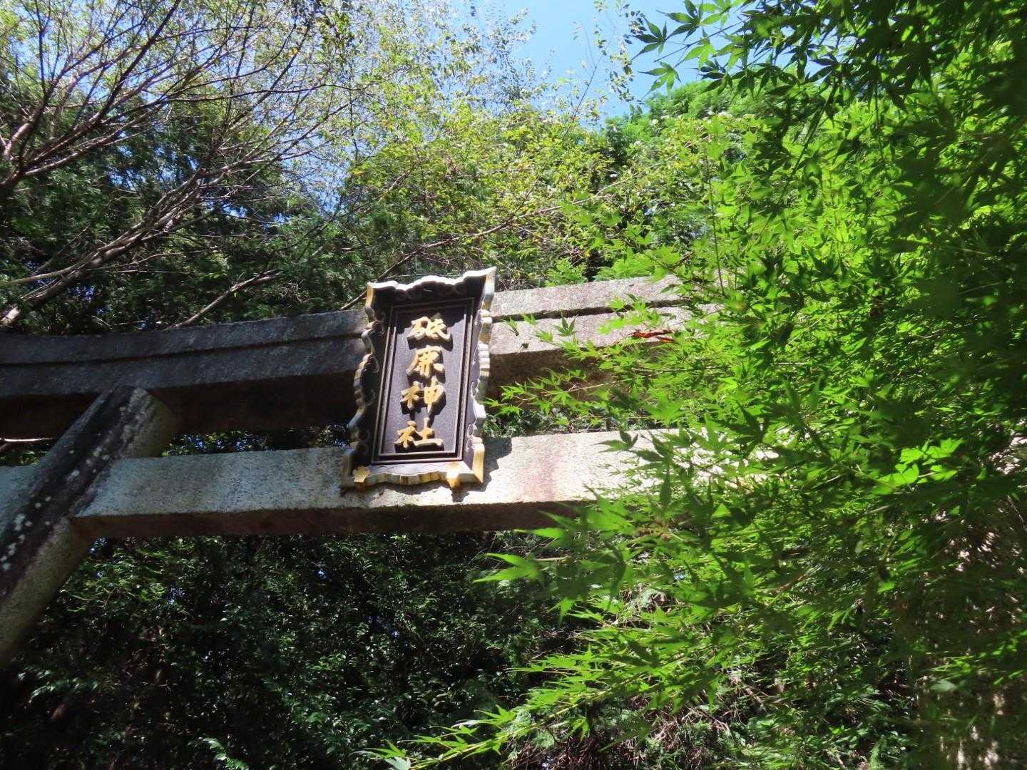 下山は膝も足裏も足首もかなり痛くなってしまったけれど、無事下山🙏
途中自然と溢れてくる涙と共に神聖な空気をいっぱい吸い込んで少し気持ちも癒されて

歩ききれたことに感謝✨✨
山のパワーに感謝✨✨
お花たちに感謝✨✨

予定より早めに下山できてホッとしました☺️