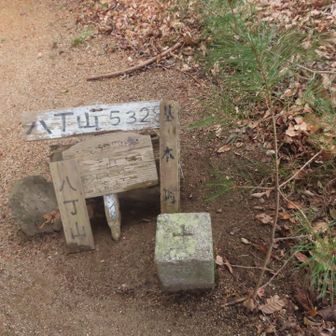 八丁山(はっちょうやま)532.8m。
