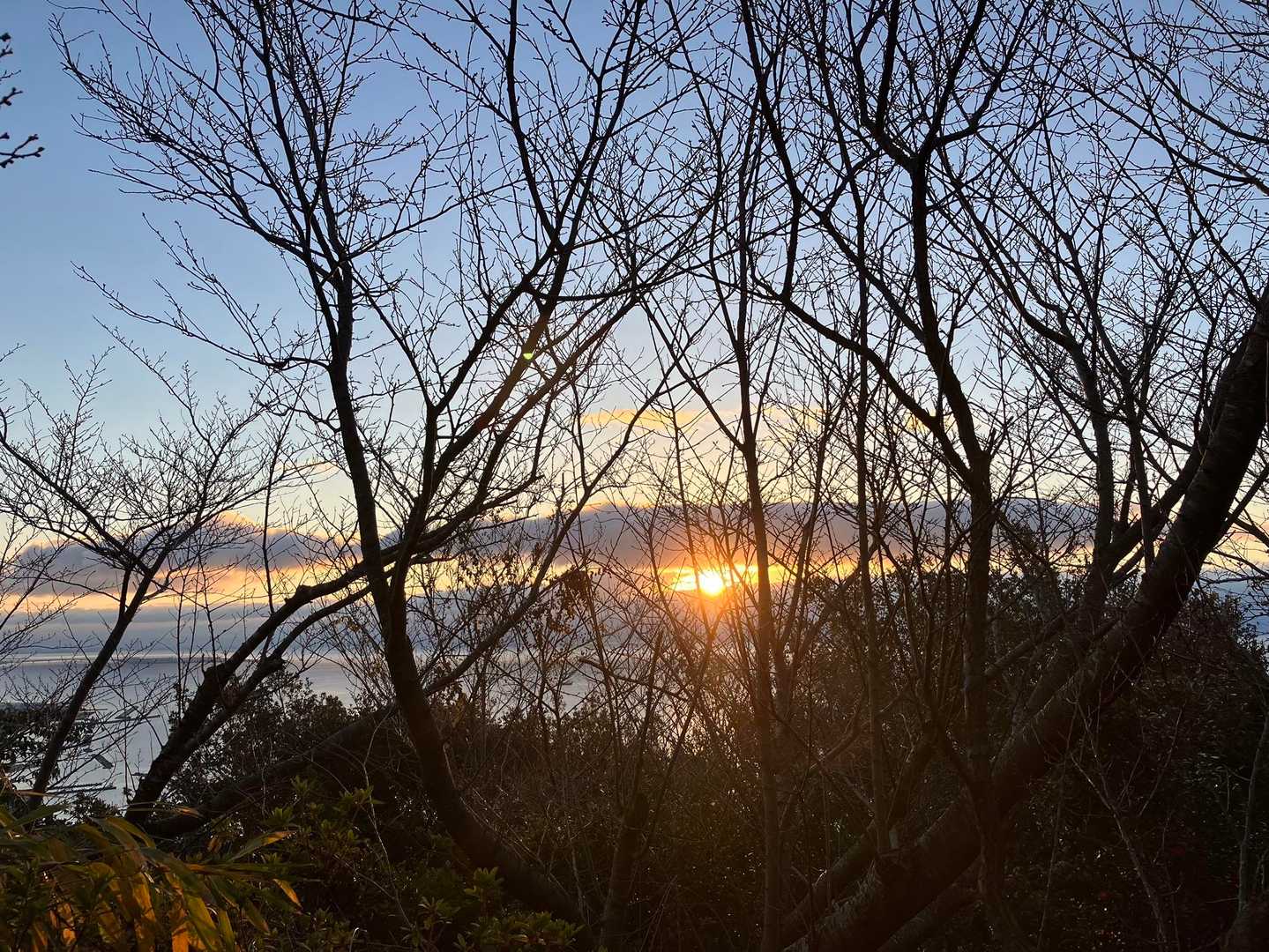 でた☀️
おはよー！