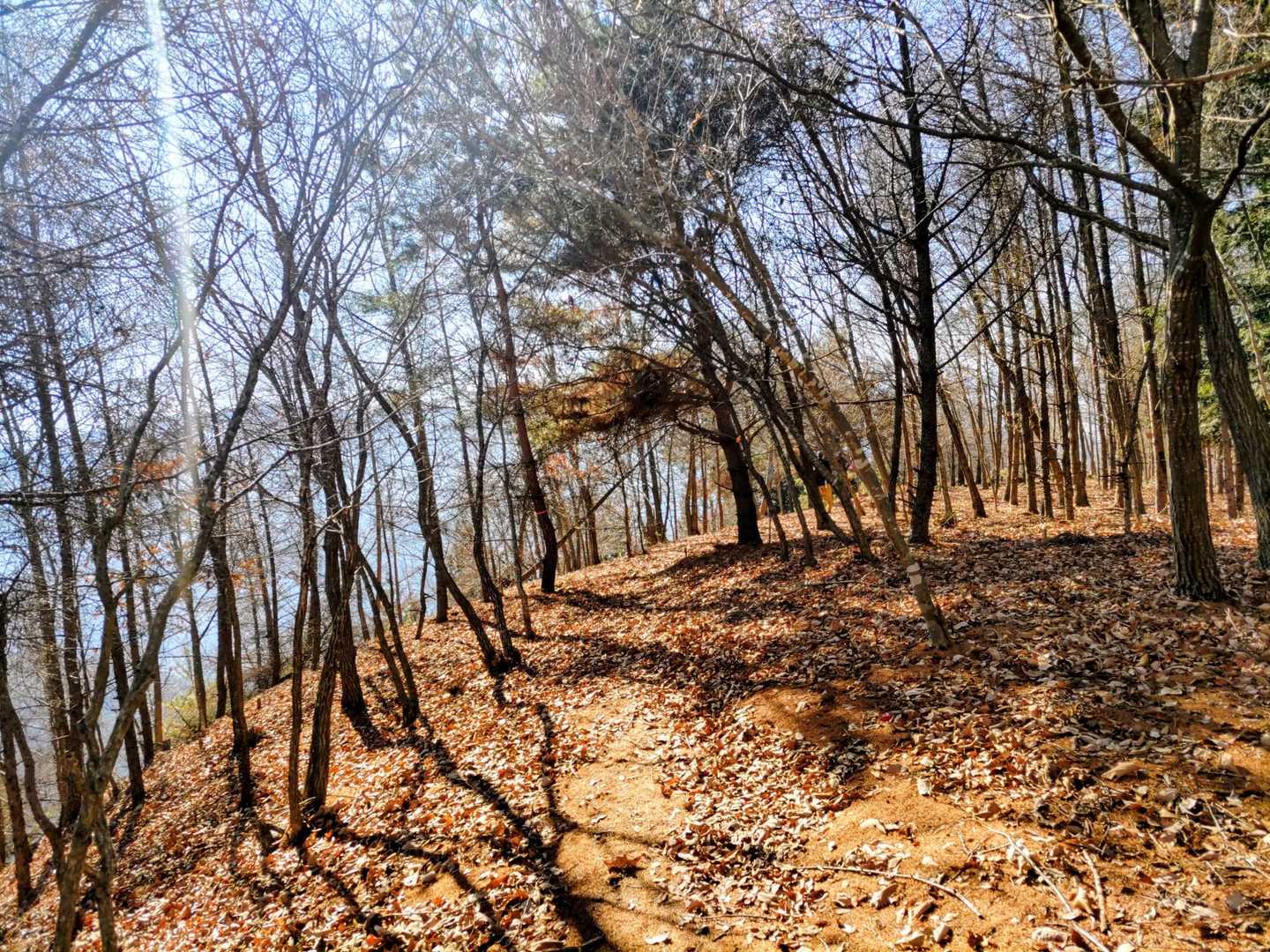 甲州高尾山-柏尾山-甲州高尾山登山口 縦走コースの写真