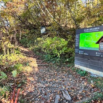 登山口の管理人さんに協力金を支払い
なるべく16:00迄に帰ってね　っと言われちゃいました