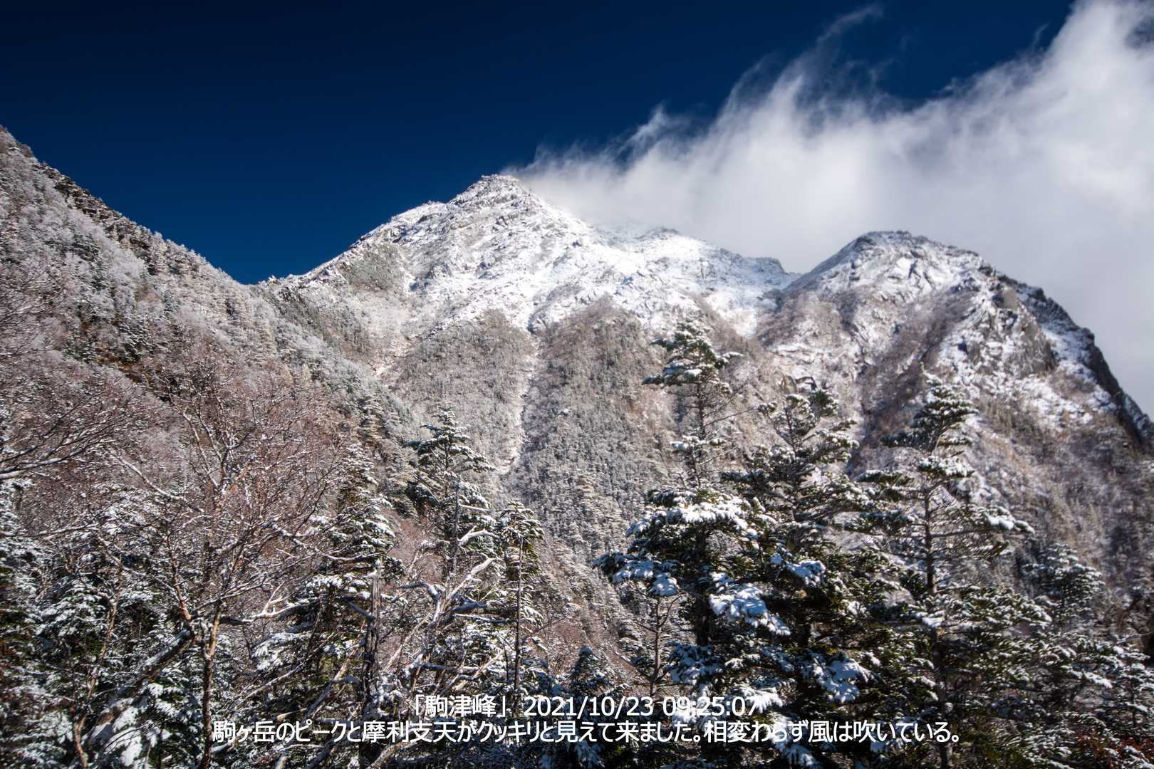 北沢峠-双児山-駒津峰-仙水峠-北沢峠バス停 周回コースの写真