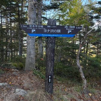 ヨナ沢の頭...池山尾根の小ピーク