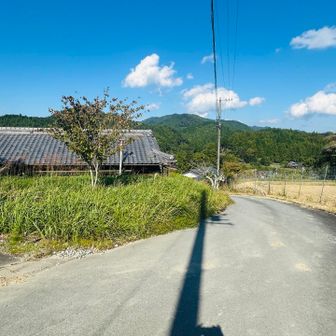 さらに進む。