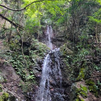 楽ちんな天ヶ滝新道の天ヶ滝✨
二段滝でそばに寄ると飛沫がドバッ！
