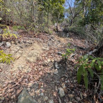 中々しんどい💦体力消耗😰