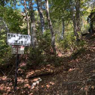 手入れされた登山道