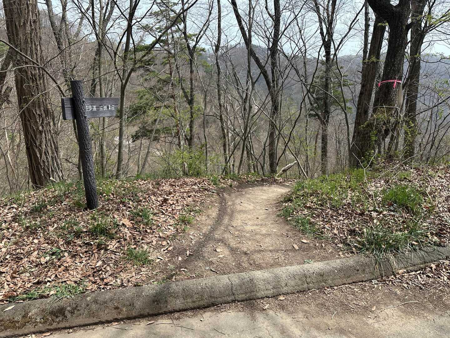 長峰山 往復コースの写真