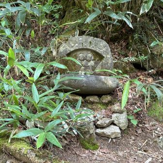 こんな所に　昨日は気が付かなかった