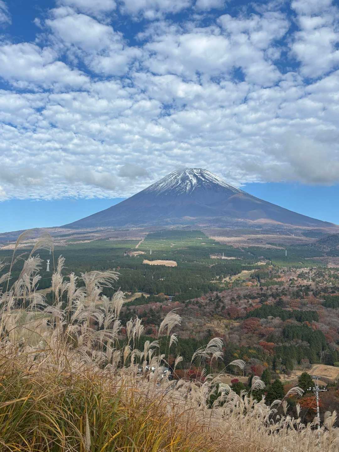 大迫力の富士山が見れました🗻