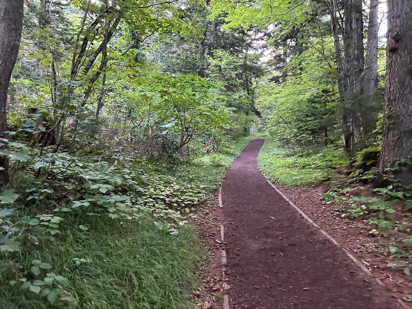 ホテルの車で登山口まで送迎してもらいました🚗