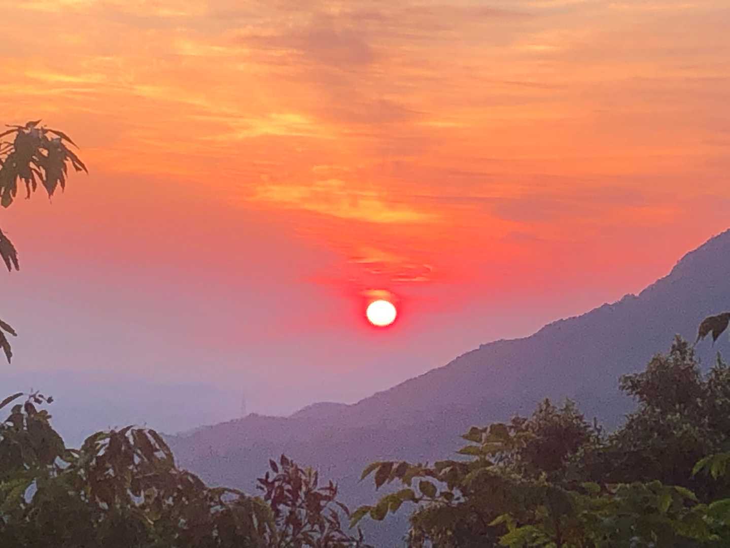 城山 往復コースの写真