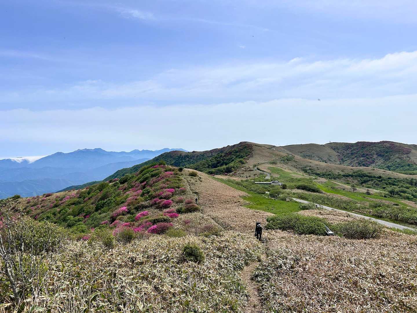 大川嶺分岐点-大川嶺-笠取山 往復コースの写真