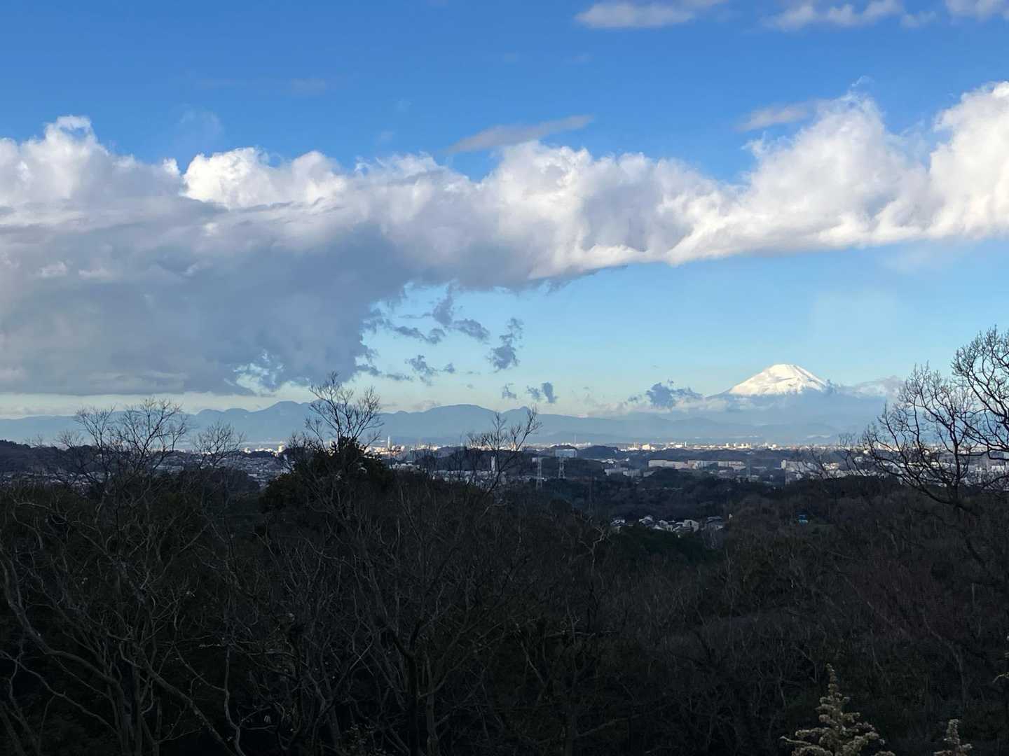 箱根と富士山