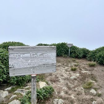 寄り道しすぎて、やっと到着！
おにぎり食べてると雨が降り始めた〜🤣