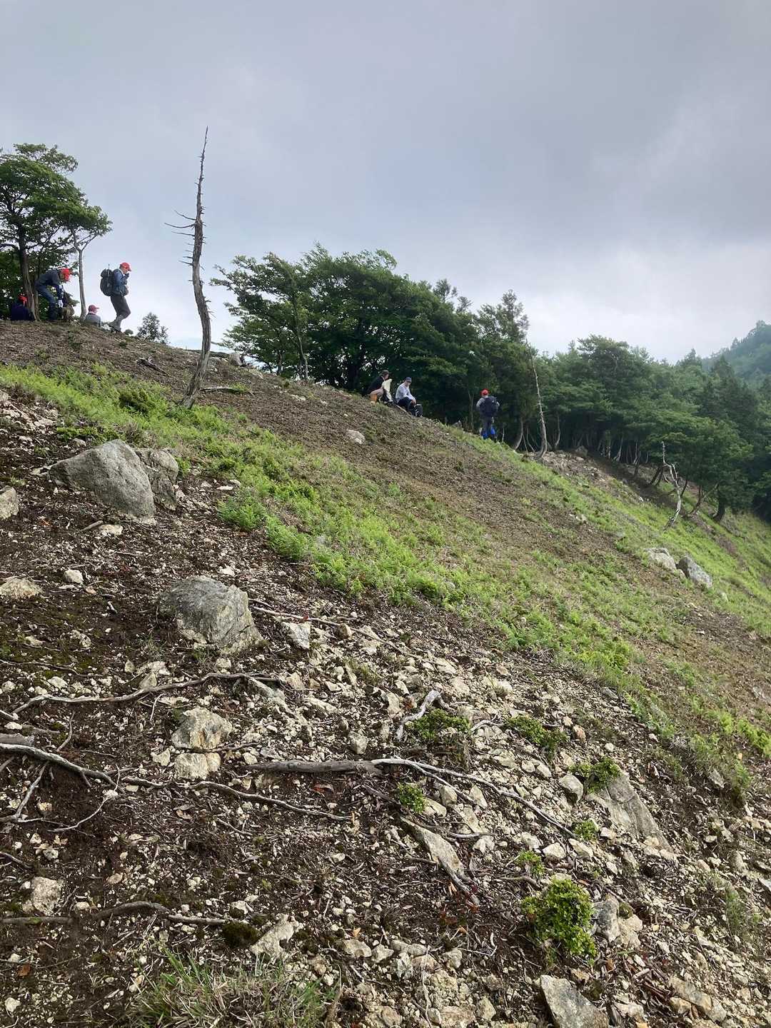 雰囲気がいいね👍