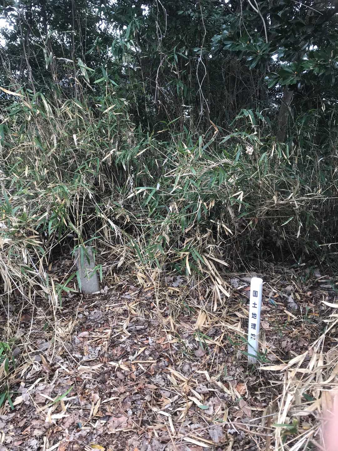 三角点まである山頂❗️