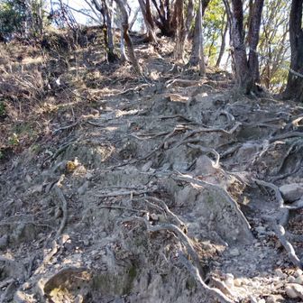 これを降りてきましたが、これくらいの急下りがいくつかありました