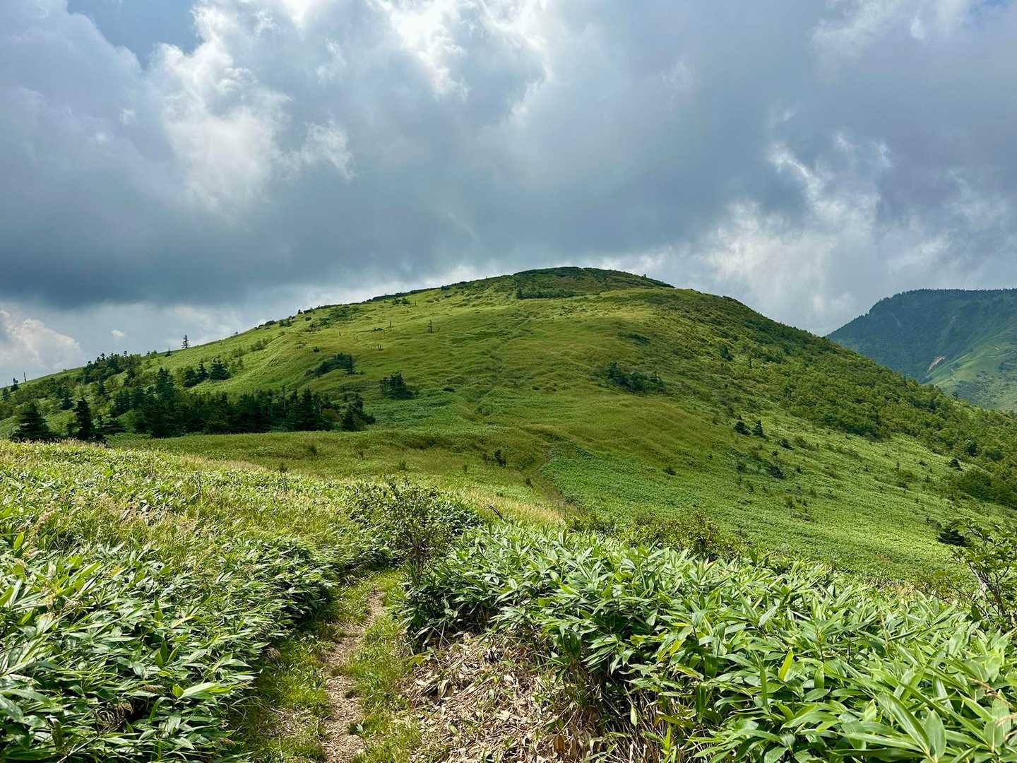 振り返っての毛無山⛰️