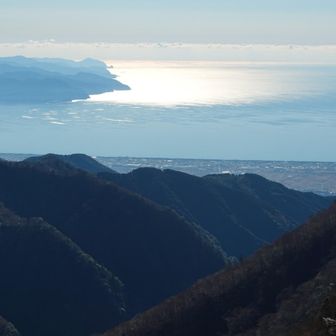 呼子岳を出発して割石峠に下りる。右側には駿河湾