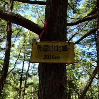 乾徳山北峰へ眺望なし。