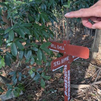 ここは武蔵五日市駅方面と思いきや日の出山方面に行くんだからなバロチクショイ！