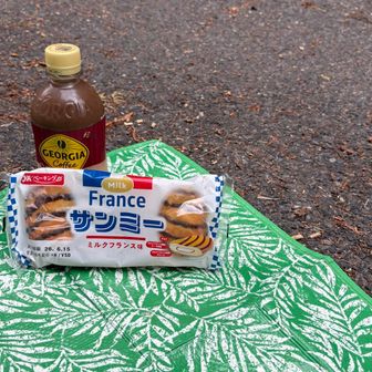 ここで至福の休憩タイム😊

今日はノーマルサンミーではなくてミルクフランス味サンミー🥖🤤