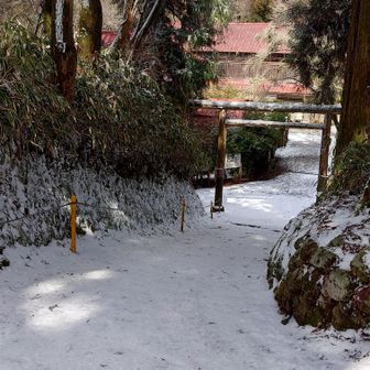 金剛山・二上山・大和葛城山 すってん坂。

マジですってん坂状態でした。