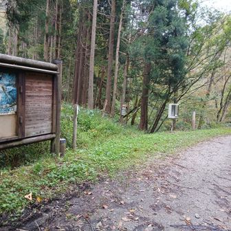 登山口に帰って来た　数分後に雨が降り始めた