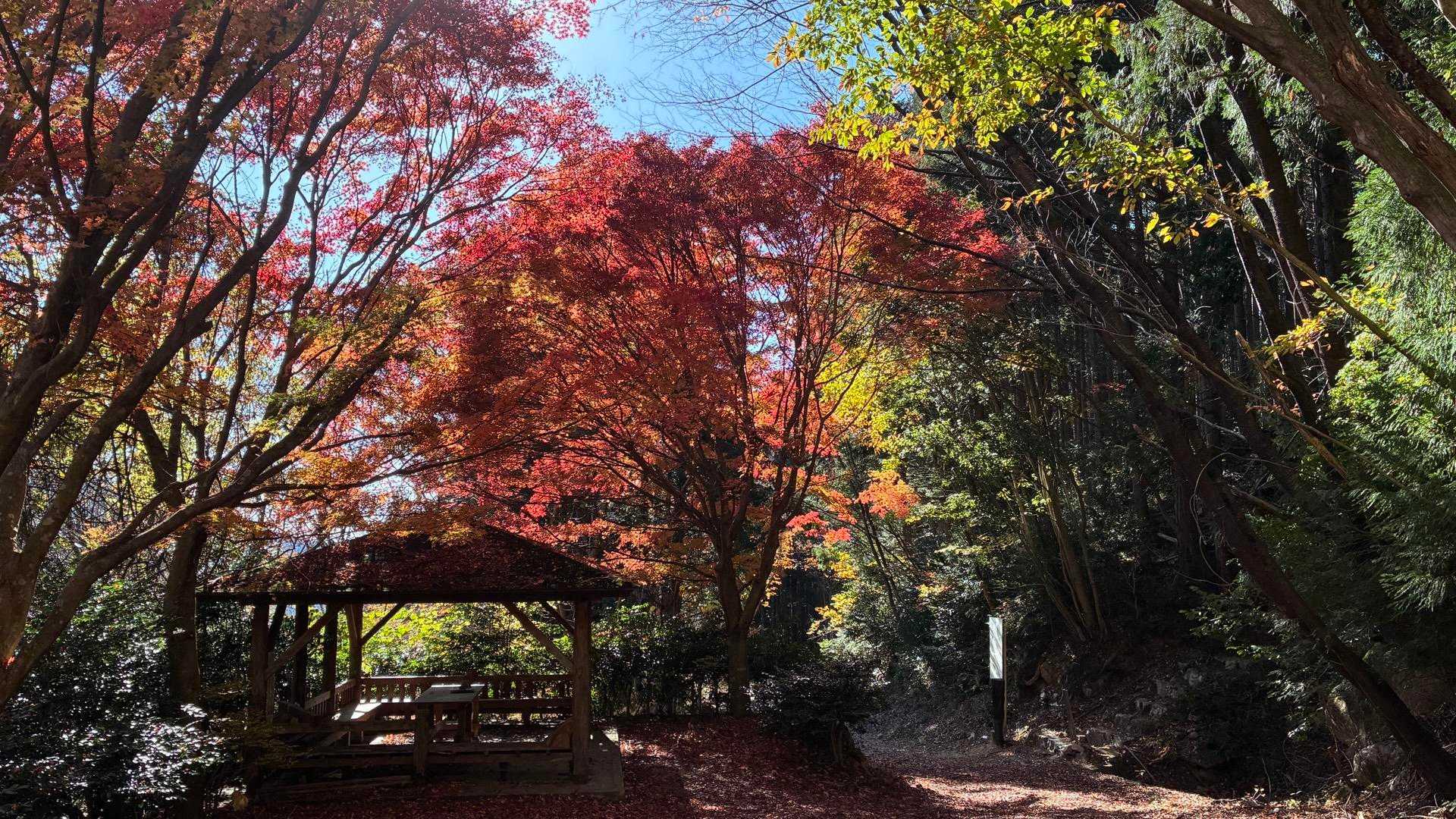 高賀山登山口-御坂峠-高賀山 往復コースの写真
