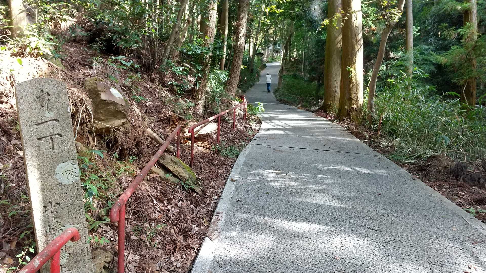 撮影してる間に、あんな先まで行ってる。