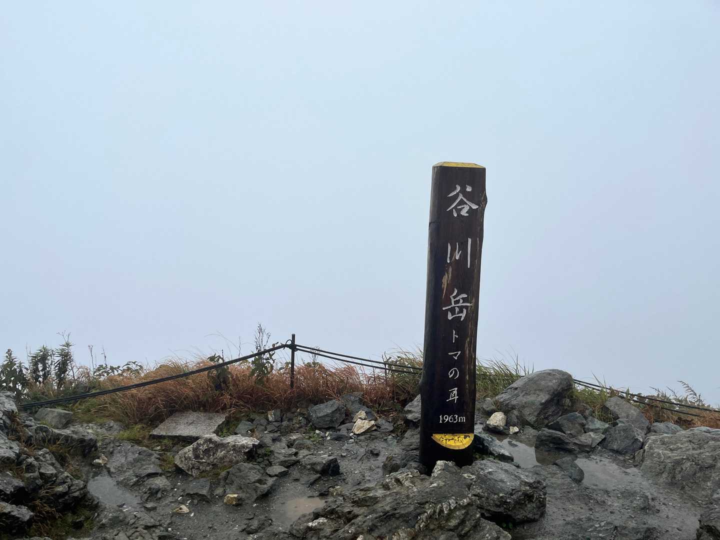 山頂　トマの耳に到着