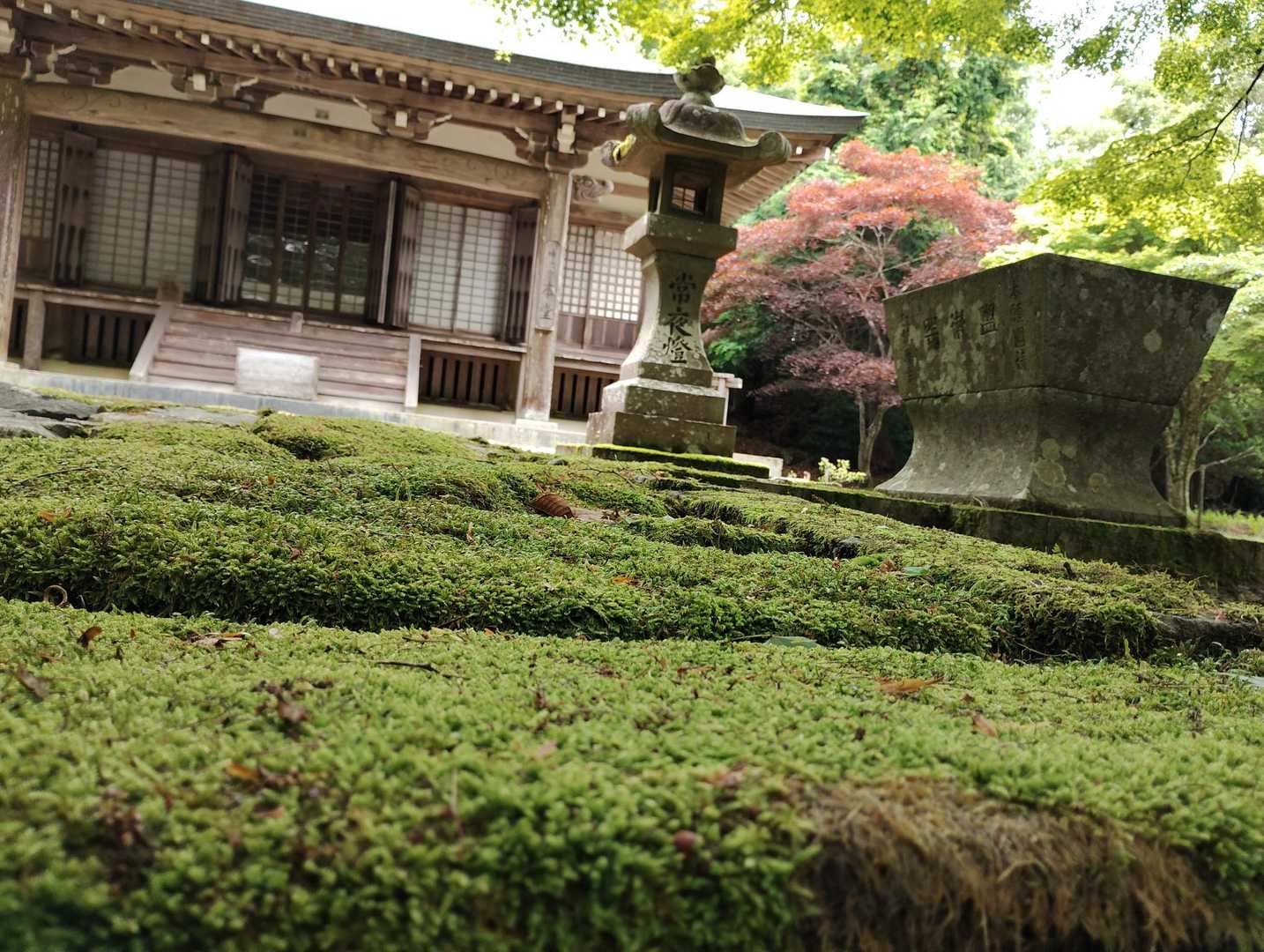 神池寺-妙高山 往復コースの写真