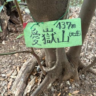 愛嶽山（北岳）437m