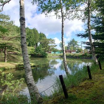 登山口
お疲れ様でした。
靴の中はグチョグチョです
お疲れ山歩