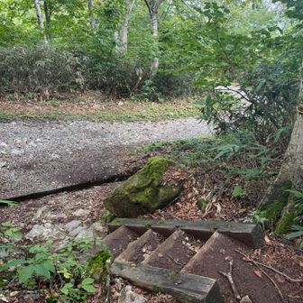 ふはー急いだ！
猿倉の林道にでた🫪
