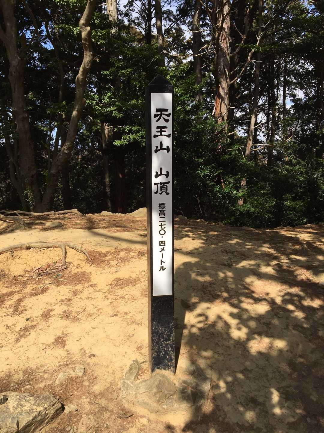 そして天王山です‼️
子供たちがいっぱいいてました💦